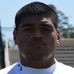Pupungatoa Katoa